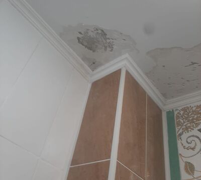 Мелкий ремонт покраска побелка