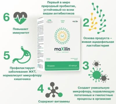 Maxilin_Siberia