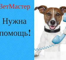 Ветеринарная помощь с выездом и в клинических условиях 24\7
