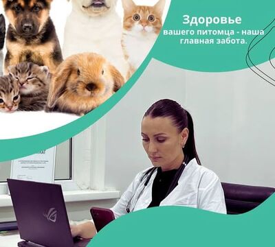 ProVet Clinic в Алматы: Все для здоровья вашего питомца!