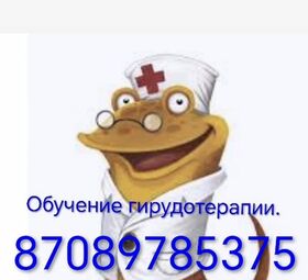 Профилактически-оздоровительный кабинет в Костанае.