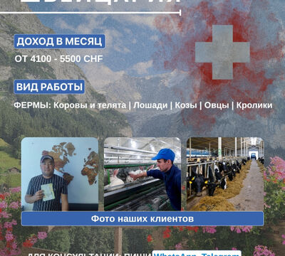 Работа на ферме в Швейцарии