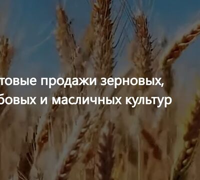 ООО Агропром - оптовая реализация продуктов питания экспорт