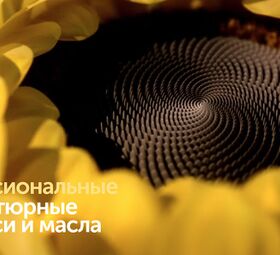 SolPro - промышленные жиры и маргарины для хлебобулочной промышленности