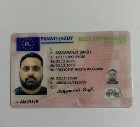 Хотите оформить/обменять водительские документы в ЕС официально?