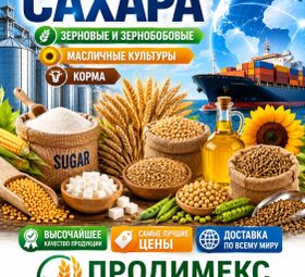 Сахар, зерновые и зернобобовые, масличные культуры, корма