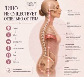 Верните лицу тонус и естественное сияние | Мануальная терапия