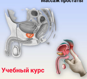 &laquo;Мужское здоровье в руках&raquo;: 5-дневный курс по урологическому массажу