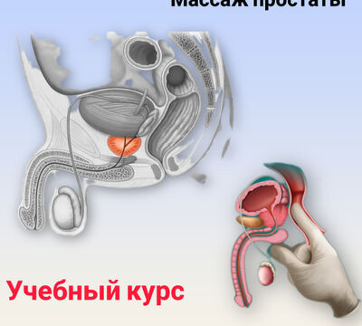 «Мужское здоровье в руках»: 5-дневный курс по урологическому массажу